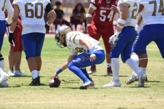 autenticos-tigres-aguilas-blancas-intermedia-2024-110