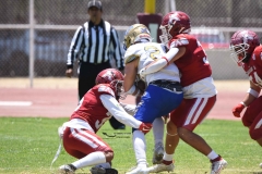 autenticos-tigres-aguilas-blancas-intermedia-2024-111