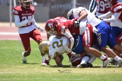 autenticos-tigres-aguilas-blancas-intermedia-2024-112
