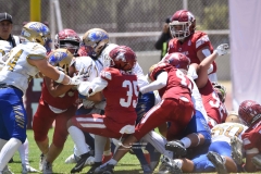 autenticos-tigres-aguilas-blancas-intermedia-2024-113
