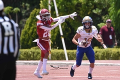 autenticos-tigres-aguilas-blancas-intermedia-2024-115