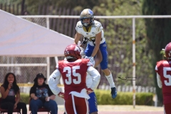 autenticos-tigres-aguilas-blancas-intermedia-2024-117