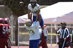 autenticos-tigres-aguilas-blancas-intermedia-2024-118