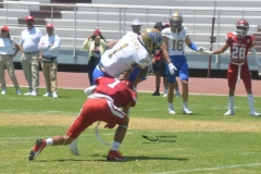autenticos-tigres-aguilas-blancas-intermedia-2024-12