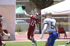 autenticos-tigres-aguilas-blancas-intermedia-2024-121