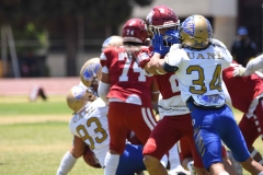 autenticos-tigres-aguilas-blancas-intermedia-2024-124