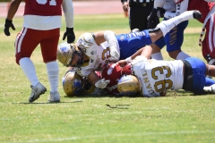 autenticos-tigres-aguilas-blancas-intermedia-2024-125