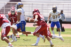 autenticos-tigres-aguilas-blancas-intermedia-2024-129