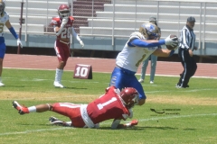 autenticos-tigres-aguilas-blancas-intermedia-2024-13