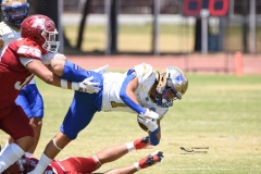 autenticos-tigres-aguilas-blancas-intermedia-2024-132