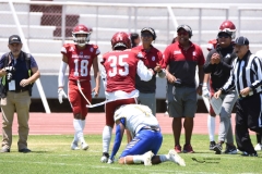 autenticos-tigres-aguilas-blancas-intermedia-2024-133