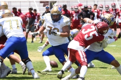 autenticos-tigres-aguilas-blancas-intermedia-2024-137