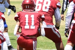 autenticos-tigres-aguilas-blancas-intermedia-2024-141