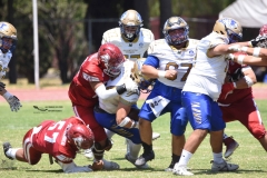 autenticos-tigres-aguilas-blancas-intermedia-2024-142