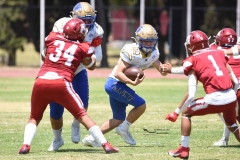 autenticos-tigres-aguilas-blancas-intermedia-2024-143