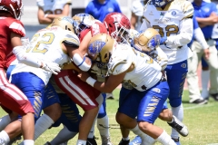 autenticos-tigres-aguilas-blancas-intermedia-2024-147
