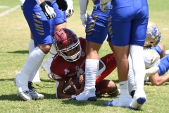 autenticos-tigres-aguilas-blancas-intermedia-2024-149