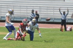 autenticos-tigres-aguilas-blancas-intermedia-2024-15