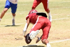 autenticos-tigres-aguilas-blancas-intermedia-2024-153