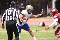 autenticos-tigres-aguilas-blancas-intermedia-2024-155