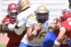 autenticos-tigres-aguilas-blancas-intermedia-2024-159