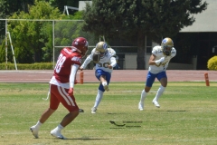 autenticos-tigres-aguilas-blancas-intermedia-2024-16