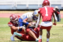 autenticos-tigres-aguilas-blancas-intermedia-2024-160