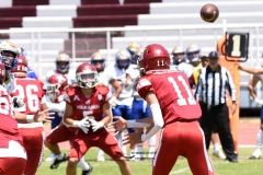 autenticos-tigres-aguilas-blancas-intermedia-2024-162