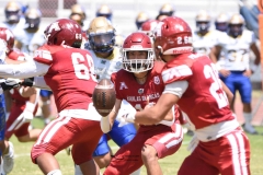 autenticos-tigres-aguilas-blancas-intermedia-2024-163