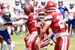 autenticos-tigres-aguilas-blancas-intermedia-2024-164
