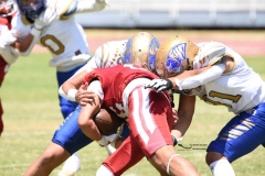 autenticos-tigres-aguilas-blancas-intermedia-2024-167