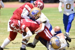 autenticos-tigres-aguilas-blancas-intermedia-2024-168