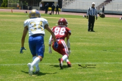 autenticos-tigres-aguilas-blancas-intermedia-2024-17