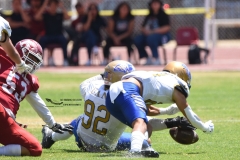 autenticos-tigres-aguilas-blancas-intermedia-2024-171