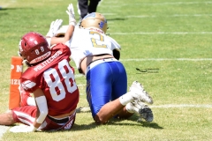 autenticos-tigres-aguilas-blancas-intermedia-2024-174