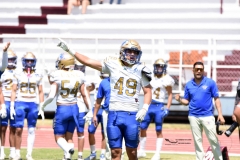 autenticos-tigres-aguilas-blancas-intermedia-2024-177