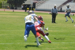autenticos-tigres-aguilas-blancas-intermedia-2024-18