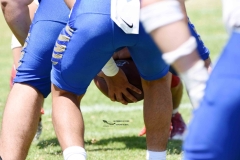 autenticos-tigres-aguilas-blancas-intermedia-2024-181