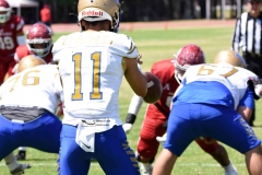 autenticos-tigres-aguilas-blancas-intermedia-2024-182