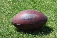 autenticos-tigres-aguilas-blancas-intermedia-2024-184