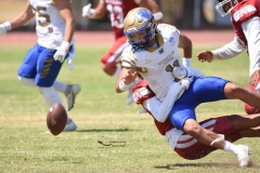 autenticos-tigres-aguilas-blancas-intermedia-2024-185