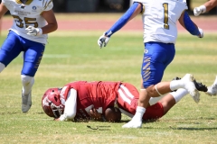 autenticos-tigres-aguilas-blancas-intermedia-2024-186