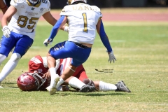 autenticos-tigres-aguilas-blancas-intermedia-2024-187