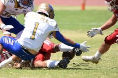 autenticos-tigres-aguilas-blancas-intermedia-2024-188