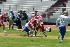 autenticos-tigres-aguilas-blancas-intermedia-2024-19