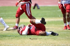 autenticos-tigres-aguilas-blancas-intermedia-2024-191