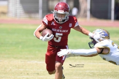 autenticos-tigres-aguilas-blancas-intermedia-2024-193