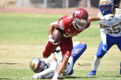 autenticos-tigres-aguilas-blancas-intermedia-2024-194