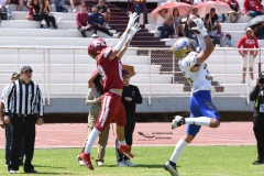 autenticos-tigres-aguilas-blancas-intermedia-2024-195