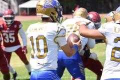 autenticos-tigres-aguilas-blancas-intermedia-2024-198